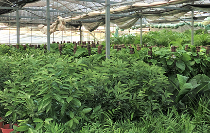 1562234648106520.jpg 6.jpg